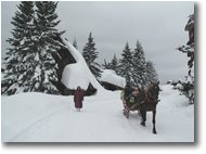 Fotografie Altro - Altro - Il traffico in città (Avoriaz, Francia)