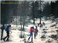  Introduzione allo scialpinismo: salendo a Cima Ventosa - Altro - <2001 - Altro - Foto varie - Voto: 10   - Last Visit: 24/9/2023 17.23.32 