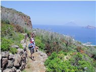  Isola Panarea - Altro - 2003 - Altro - Foto varie - Voto: Non  - Last Visit: 25/5/2024 9.0.40 