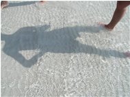  La sabbia del Lido di Alghero - Altro - 2003 - Altro - Foto varie - Voto: Non  - Last Visit: 25/5/2024 8.59.10 