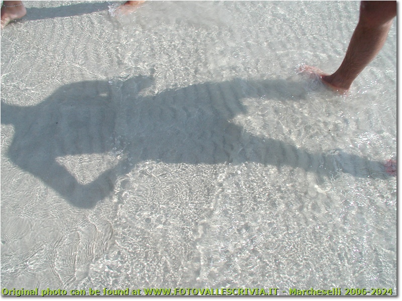 La sabbia del Lido di Alghero - Altro - 2003 - Altro - Foto varie - Olympus Camedia 3000