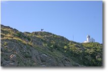 Foto Altro - Altro - Monte Tobbio: arrivo in vetta