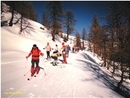  Scialpinismo: cima Missun - Altro - <2001 - Altro - Foto varie - Voto: Non  - Last Visit: 25/5/2024 8.53.57 