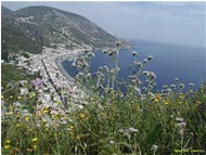  Lipari: località Canneto - Altro - 2003 - Paesi - Foto varie - Voto: 10   - Last Visit: 13/4/2024 19.49.18 