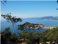  Sul sentiero da Sestri Levante a Punta Manara, Baia del Silenzio - Altro - 2021 - Paesi - Foto varie - Voto: Non  - Last Visit: 13/4/2024 19.11.39 