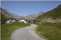  Valgrisenche: La Grand’Alpe, dove i nonni materni (Chamonin) portavano le mucche all’alpeggio - Altro - 2007 - Paesi - Foto varie - Voto: 9    - Last Visit: 25/5/2024 9.12.12 