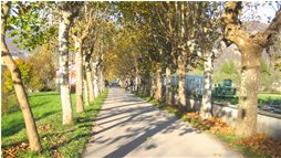  Viale del Cimitero a Voltaggio - Altro - 2016 - Paesi - Inverno - Voto: Non  - Last Visit: 27/9/2023 8.12.5 