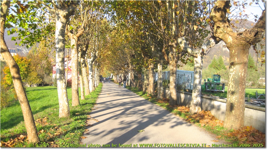 Viale del Cimitero a Voltaggio - Altro - 2016 - Paesi - Inverno - Canon Ixus 980 IS