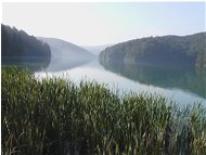  Croazia: Parco Nazionale di Plitvice - Altro - 2004 - Panorami - Foto varie - Voto: Non  - Last Visit: 23/10/2020 23.48.49 