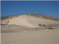  Dune a Sotavento - Altro - 2016 - Panorami - Foto varie - Voto: Non  - Last Visit: 20/4/2024 13.47.57 