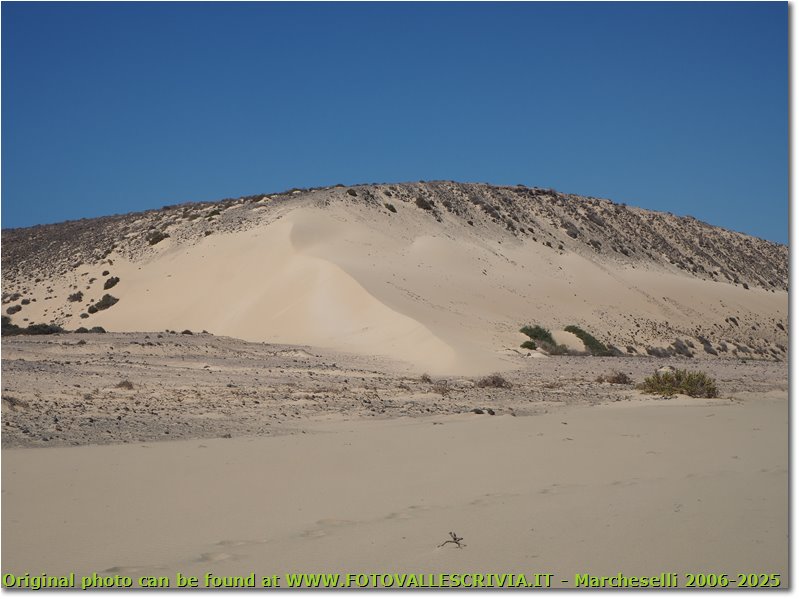 Dune a Sotavento