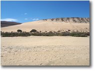 Fotografie Altro - Panorami - Dune a Sotavento