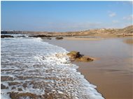  El cotillo sullo sfondo, dalla spiaggia sud. - Altro - 2016 - Panorami - Foto varie - Voto: Non  - Last Visit: 26/1/2023 21.26.3 