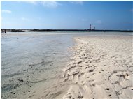  Faro de El Tostón, bassa marea - Altro - 2016 - Panorami - Foto varie - Voto: Non  - Last Visit: 13/4/2024 19.41.47 