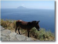 Fotografie Altro - Panorami - Filicudi vista da Alicudi