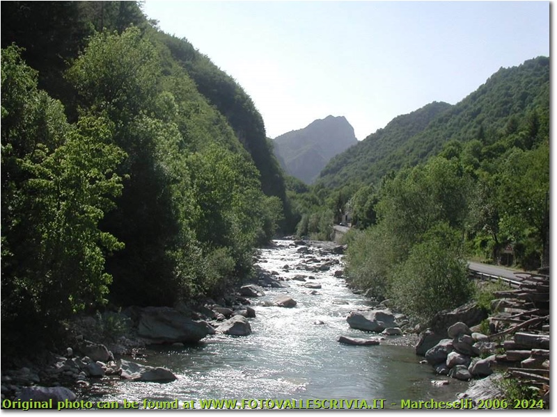 Fiume Tanaro a Ponte di Nava (Imperia) - Altro - <2001 - Panorami - Foto varie - Olympus Camedia 3000