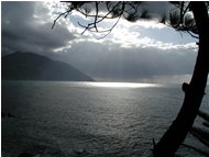  Il mare d'inverno a Recco - Altro - 2004 - Panorami - Foto varie - Voto: Non  - Last Visit: 28/8/2022 21.30.35 