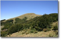 Foto Altro - Panorami - Monte Carmo di Carrega Ligure, tra Val Borbera e Val Trebbia