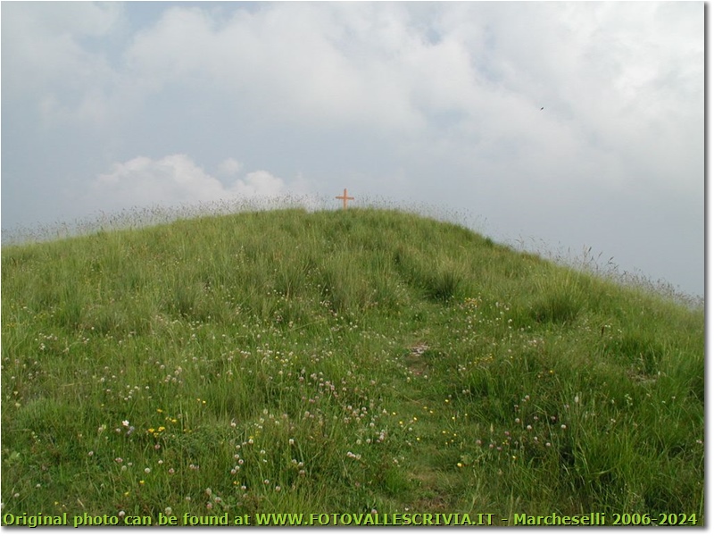 Monte Fenaira nelle vicinanze del Passo di Teglia (Imperia) - Altro - <2001 - Panorami - Foto varie - Olympus Camedia 3000