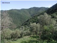  Paesaggio ligure in Valle Arroscia (Imperia) - Altro - <2001 - Panorami - Foto varie - Voto: Non  - Last Visit: 6/6/2023 3.23.17 