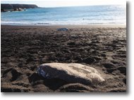 Foto Altro - Panorami - Sabbia nera ad Ajuy