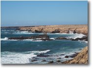 Foto Altro - Panorami - Scogliere a Punta Jandia 