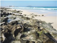  Spiagge delle dune, Corralejo - Altro - 2016 - Panorami - Foto varie - Voto: Non  - Last Visit: 25/5/2024 8.56.12 