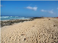  Spiagge delle dune, Corralejo - Altro - 2016 - Panorami - Foto varie - Voto: Non  - Last Visit: 25/5/2024 8.56.11 