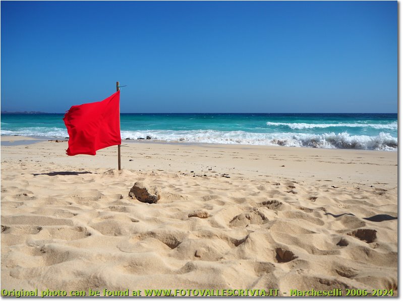Red flag at dunes de Corralejo beach.