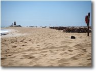 Fotografie Altro - Panorami - Spiaggia delle Dune di Corralejo
