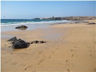  Spiaggia di El Cotillo, vista verso il paese - Altro - 2016 - Panorami - Foto varie - Voto: Non  - Last Visit: 24/6/2022 23.19.37 