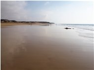  Spiaggia di El Cotillo - Altro - 2016 - Panorami - Foto varie - Voto: Non  - Last Visit: 25/5/2024 8.54.52 