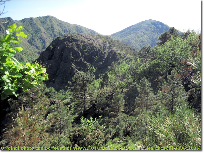Voltaggio: alta Val Lavagè, Monte Castiglione e Tobbio - Altro - 2012 - Panorami - Estate - Canon Ixus 980 IS