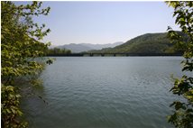  Immagini del lago Busalletta in Maggio - Busalla&Ronco Scrivia - 2009 - Altro - Estate - Voto: Non  - Last Visit: 12/4/2024 3.55.45 