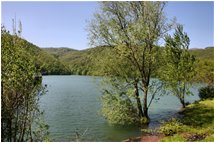  Immagini del lago Busalletta in Maggio - Busalla&Ronco Scrivia - 2009 - Altro - Estate - Voto: Non  - Last Visit: 30/10/2022 13.51.2 