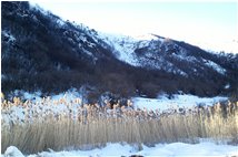  Inverno alla Banchetta - Busalla&Ronco Scrivia - 2012 - Altro - Inverno - Voto: Non  - Last Visit: 21/9/2023 1.37.18 