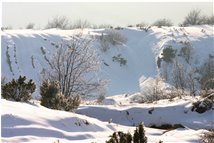  Avvallamenti innevati alle pendici dell'Alpe di Porale - Busalla&Ronco Scrivia - 2013 - Boschi - Inverno - Voto: Non  - Last Visit: 22/9/2023 6.49.55 