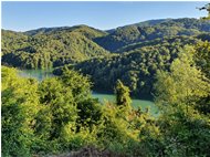  Lago della Busalletta - Busalla&Ronco Scrivia - 2020 - Boschi - Estate - Voto: Non  - Last Visit: 26/3/2024 6.49.57 