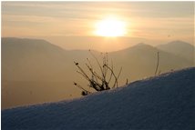  Il freddo sole al tramonto - Busalla&Ronco Scrivia - 2013 - Fiori&Fauna - Inverno - Voto: Non  - Last Visit: 20/9/2023 14.17.22 