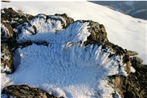  Infiorescenze di ghiaccio - Busalla&Ronco Scrivia - 2013 - Fiori&Fauna - Inverno - Voto: Non  - Last Visit: 26/6/2022 14.11.23 