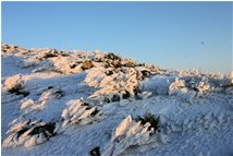  Infioresenze di ghiaccio al tramonto - Busalla&Ronco Scrivia - 2013 - Fiori&Fauna - Inverno - Voto: Non  - Last Visit: 24/1/2024 17.17.57 