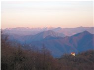  Panorami a confronto: novembre - Busalla&Ronco Scrivia - 2010 - Fiori&Fauna - Inverno - Voto: Non  - Last Visit: 22/1/2024 5.27.12 