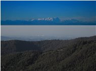  Alpe Porale: oltre le nebbie e le foschie evidenziate le Alpi dal Cervino a Rosa - Busalla&Ronco Scrivia - 2014 - Landscapes - Other - Voto: Non  - Last Visit: 25/10/2021 21.39.14 