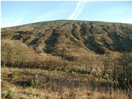  Brughiera sul versante nord dell' Alpe del Porale - Busalla&Ronco Scrivia - 2003 - Landscapes - Winter - Voto: Non  - Last Visit: 29/9/2023 3.38.16 