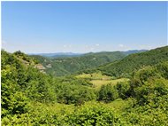  Da Porale verso tana d'Orso - Busalla&Ronco Scrivia - 2020 - Landscapes - Summer - Voto: Non  - Last Visit: 27/9/2023 15.7.32 