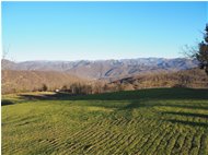  Frazione Tegli - Busalla&Ronco Scrivia - 2019 - Landscapes - Winter - Voto: Non  - Last Visit: 26/9/2023 10.59.58 