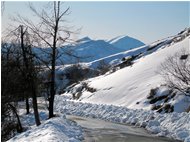  Monte Tobbio visto dalla strada Chiappa-Banchetta - Busalla&Ronco Scrivia - 2010 - Landscapes - Winter - Voto: Non  - Last Visit: 30/1/2024 11.56.54 