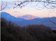  Montecanne in terzo piano, tra Valle Scrivia e Valle Spinti - Busalla&Ronco Scrivia - 2011 - Landscapes - Winter - Voto: Non  - Last Visit: 25/9/2023 16.28.36 