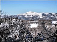  Prima neve sul Monte Alpe di Porale - Busalla&Ronco Scrivia - 2011 - Landscapes - Winter - Voto: Non  - Last Visit: 29/1/2024 14.34.34 