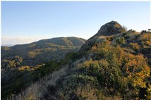 The Fraconalto's Peak with the Fiacone's castle ruins - Busalla&Ronco Scrivia - 2008 - Landscapes - Winter - Voto: Non  - Last Visit: 15/2/2024 7.57.5 